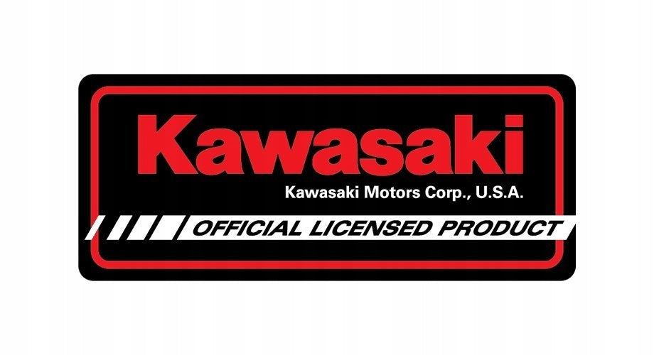 KAWASAKI Ninja ZX-12R 2001 model 1:18 Welly Packaging status original