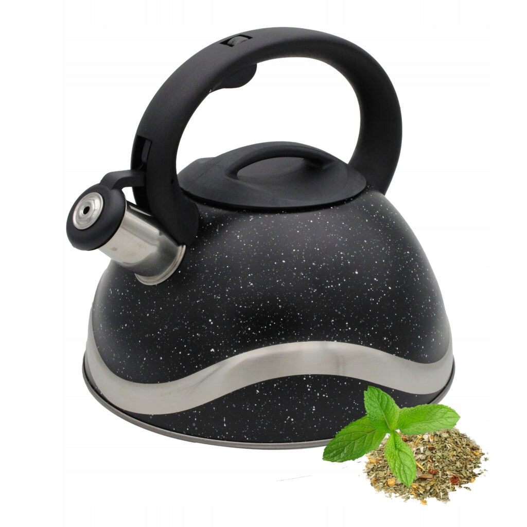 KETTLE INDUCTION GAS WITH WHISTLE TRADITIONAL SILVER BLACK LARGE ROOMY 3 L