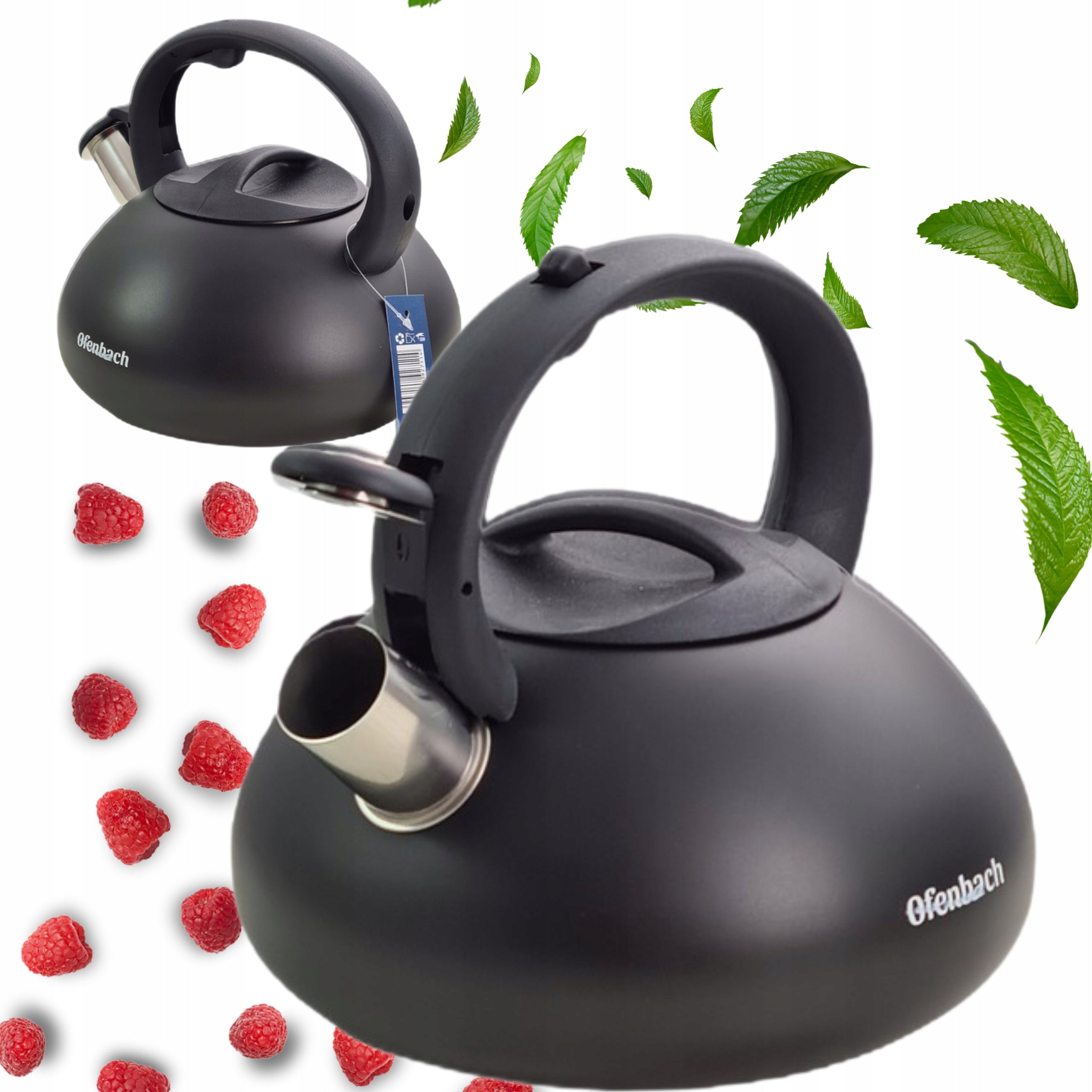 KETTLE WITH WHISTLE 2.5 L GAS OFENBACH