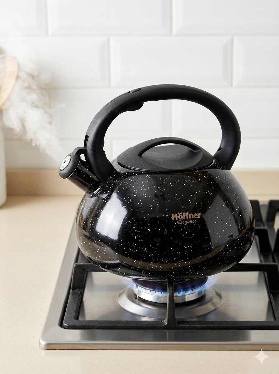 KETTLE WITH WHISTLE TRADITIONAL INDUCTION GAS STAINLESS STEEL LARGE 3l Packaging status original