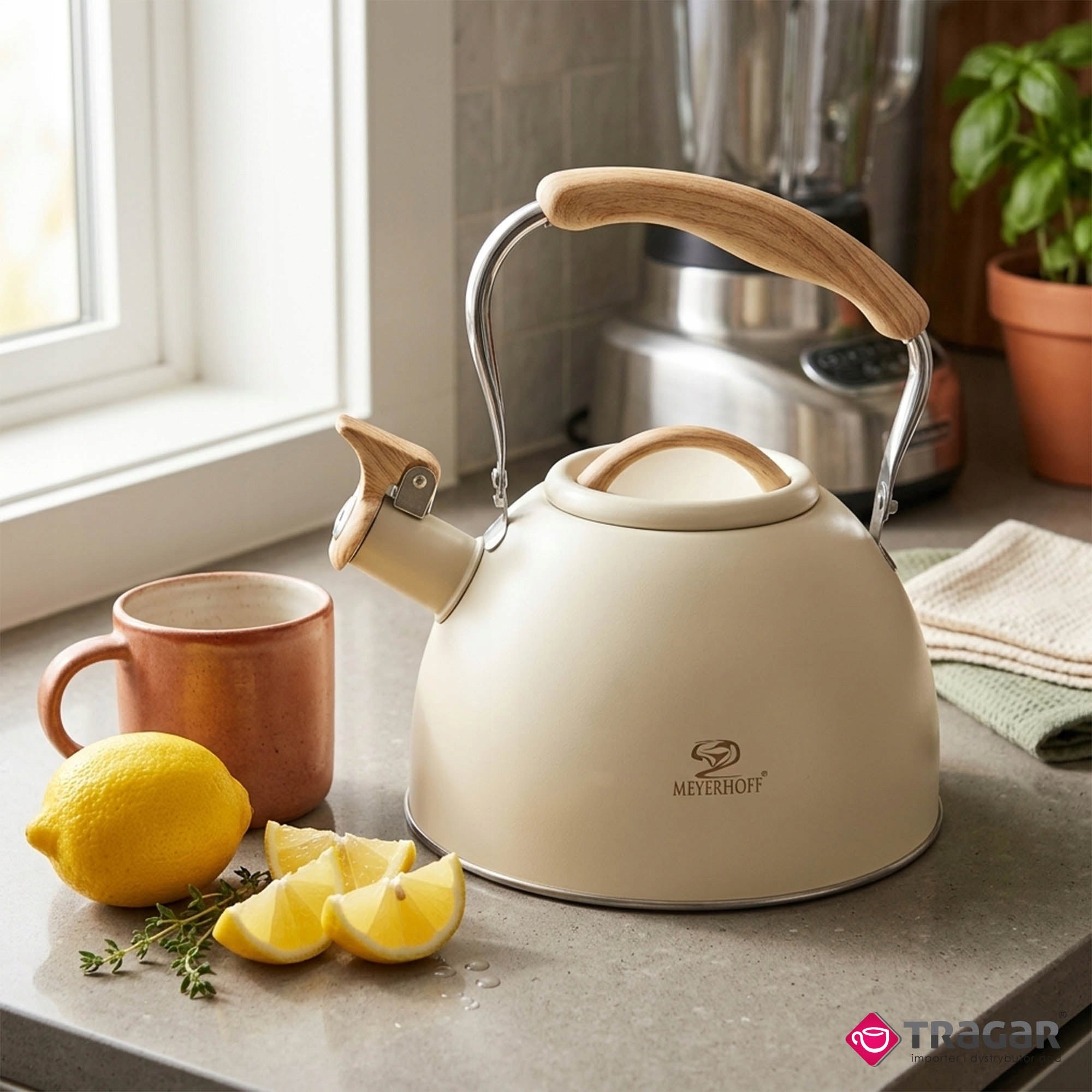Kettle 2,5L Cream Stainless Steel Gas Induction with Whistle Traditional Color beige