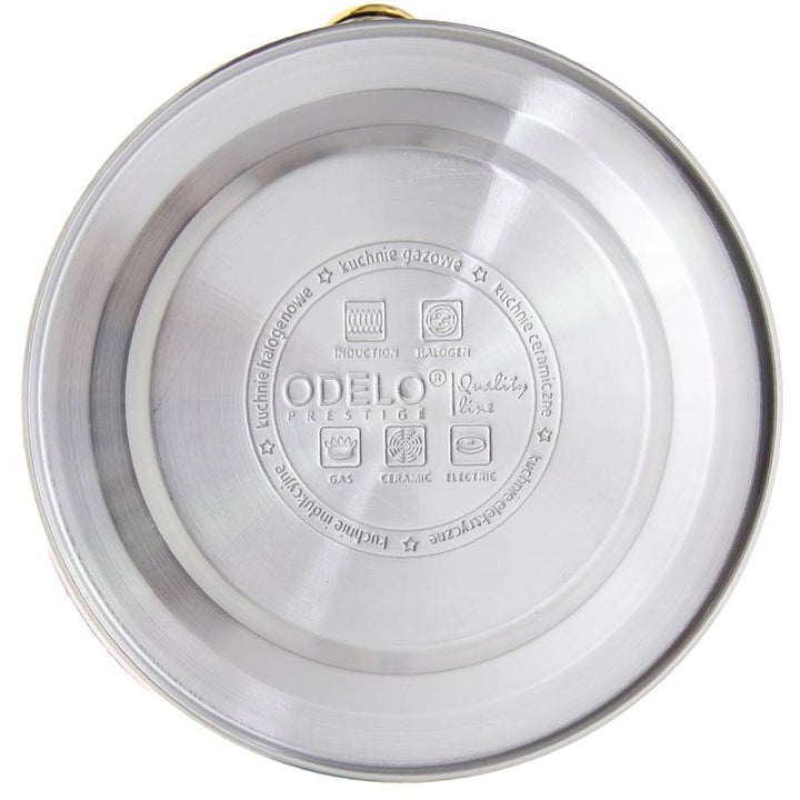 Kettle 3L DARIO White Gold OD2113 Stainless Steel Induction Gas Whistle Manufacturer code OD2113
