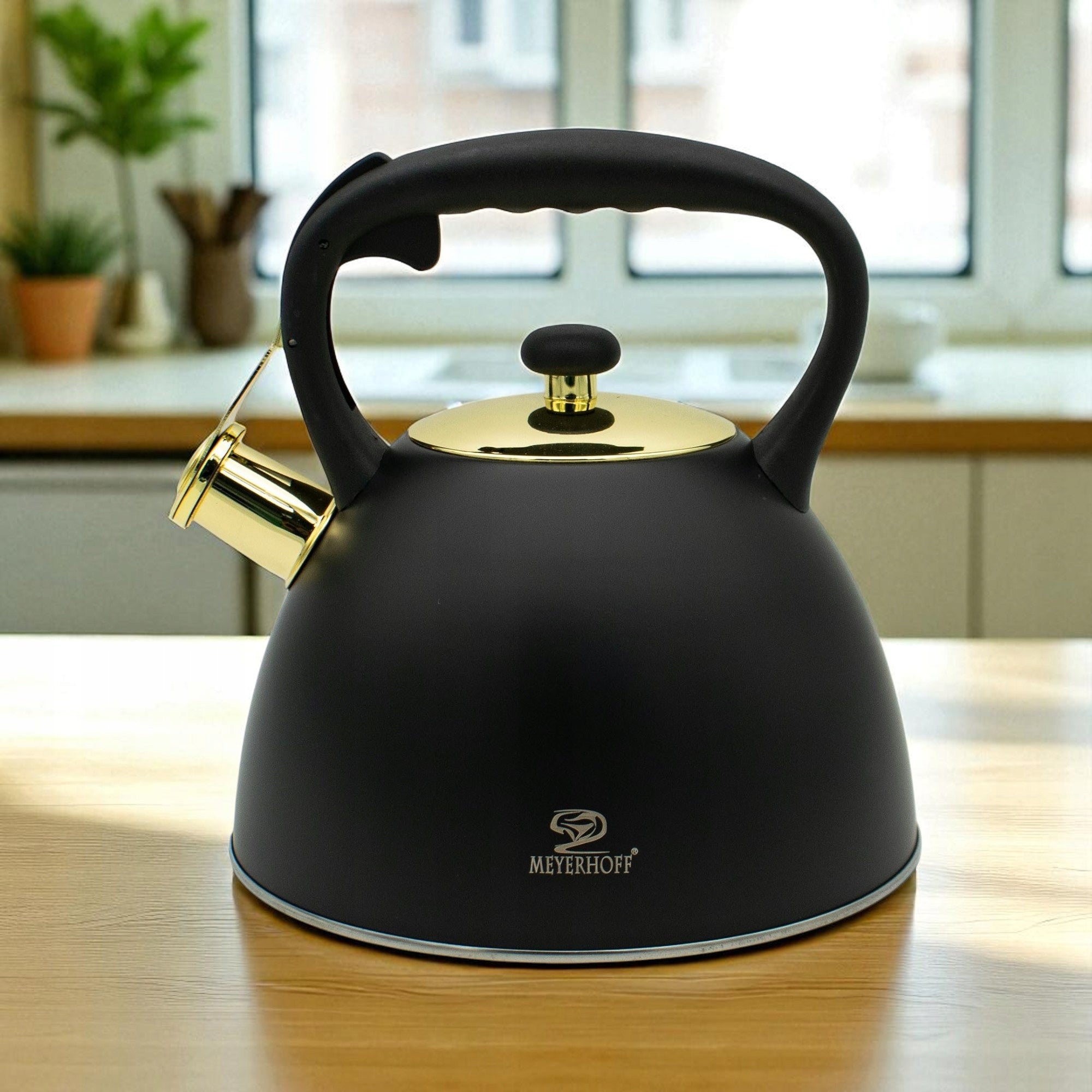 Kettle 3L Steel Stainless Black Matte with Whistle Handle Induction Gas Color black