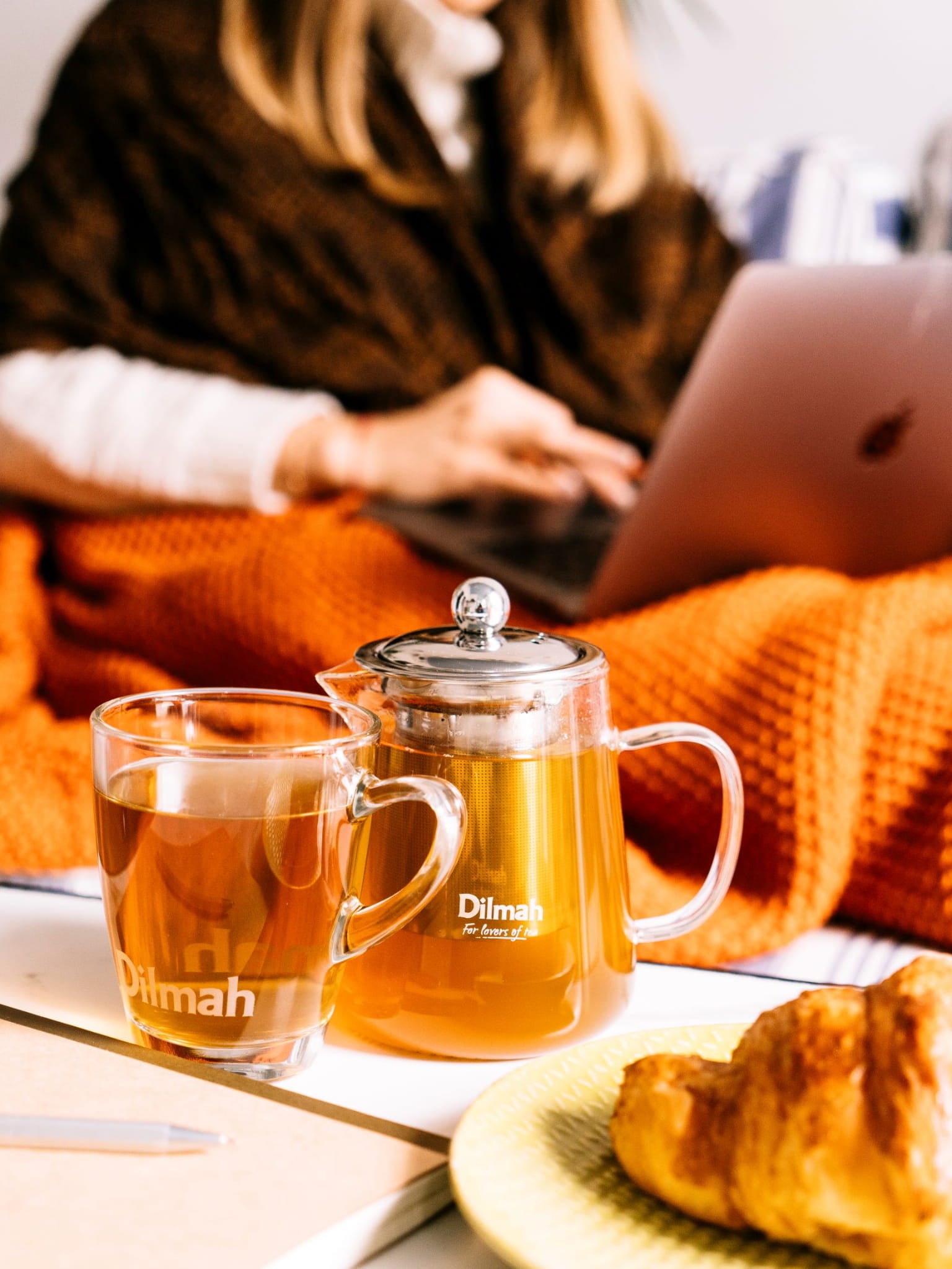 Kettle Dilmah Metal Infuser Endane 500ml Stainless Steel Manufacturer code Czajniczek szklany z zaparzaczem