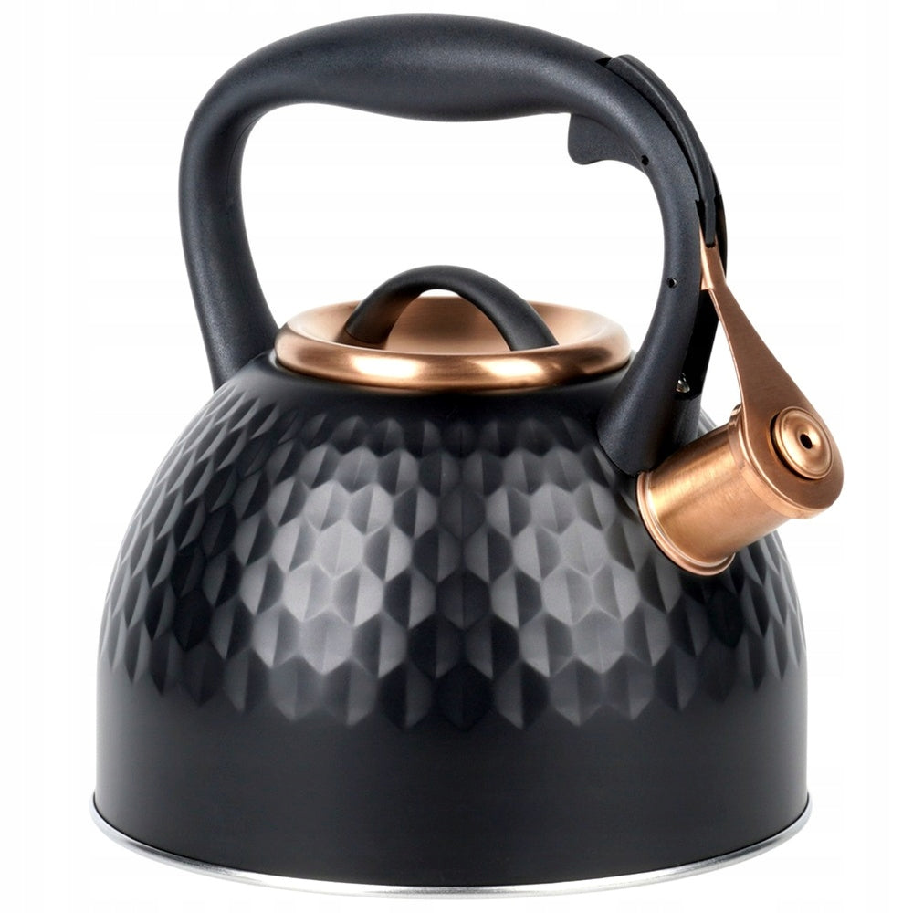 Kettle STEEL black for boiling water for gas induction cooker 2,5L Brand Vilde