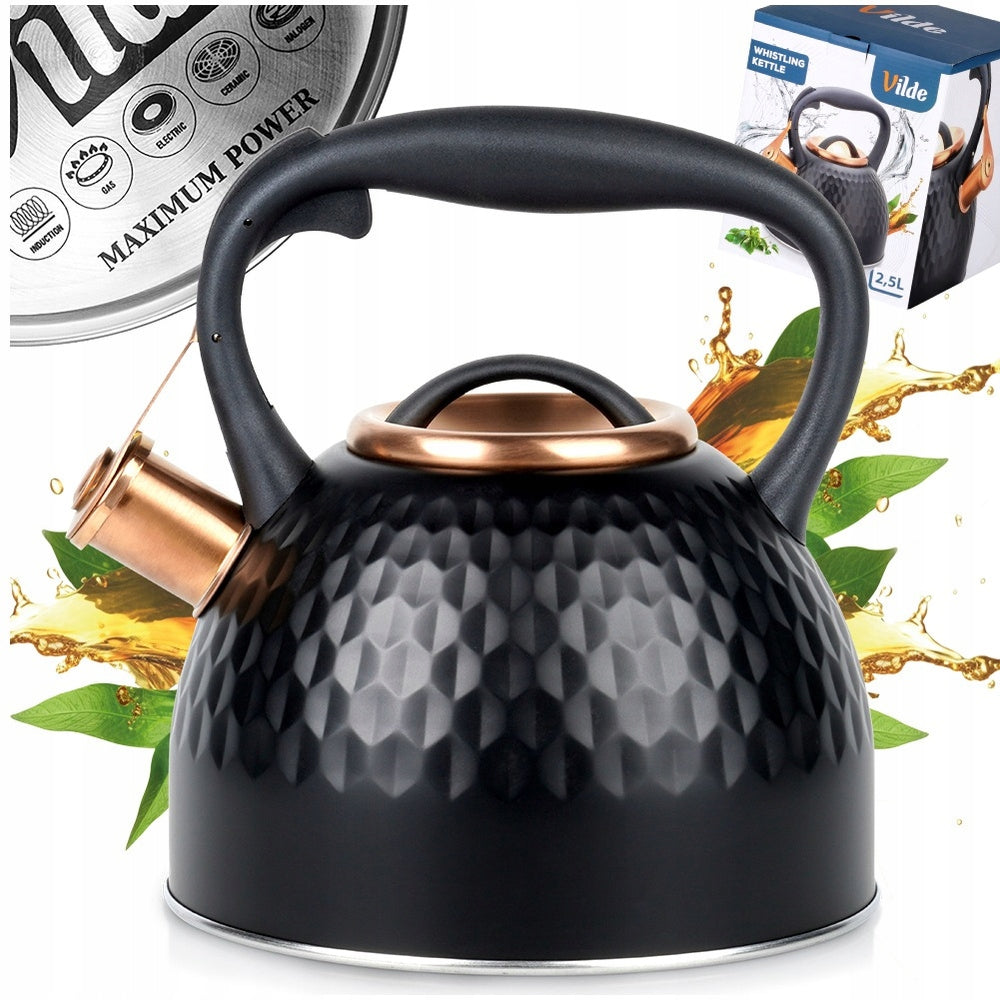 Kettle STEEL black for boiling water for gas induction cooker 2,5L
