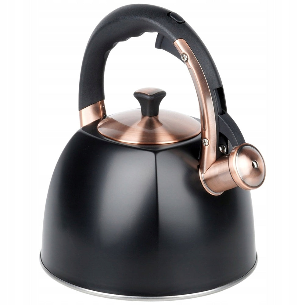 Kettle STEEL black for boiling water for gas induction cooker 2,8L Brand Vilde