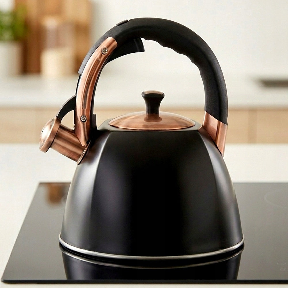 Kettle STEEL black for boiling water for gas induction cooker 2,8L Packaging status original