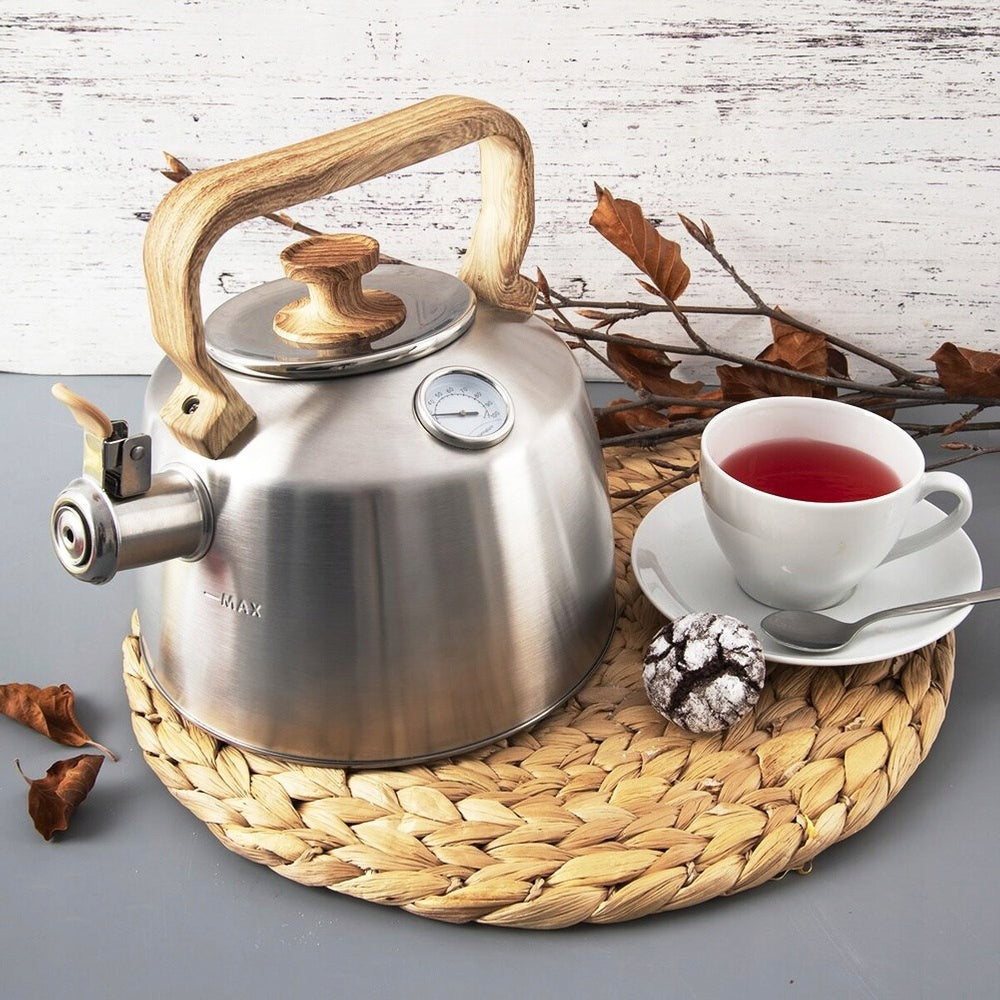 Kettle WITH THERMOMETER whistle for gas cooking induction stove Packaging status original