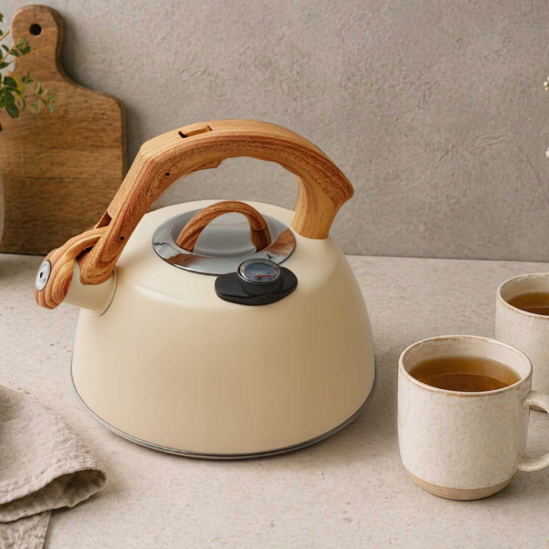 Kettle gas induction traditional with whistle steel Brunbeste 3 l beige Packaging status original
