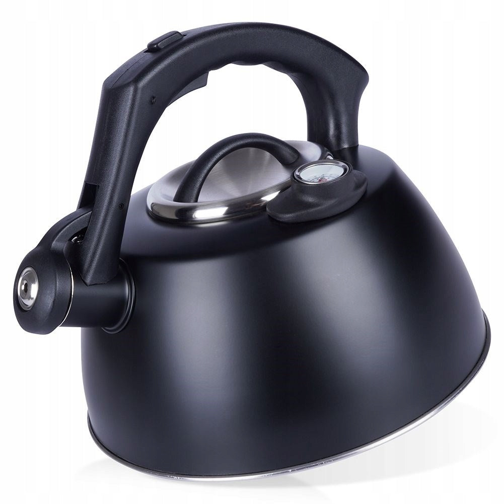 Kettle traditional steel induction gas Brunbeste 3 l black