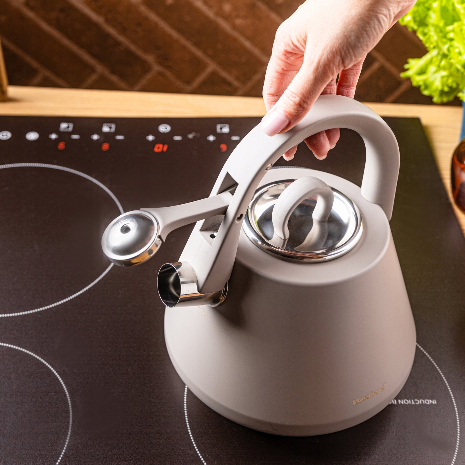 Kettle with whistle steel grey mat induction gas 2,5L Brand Klausberg