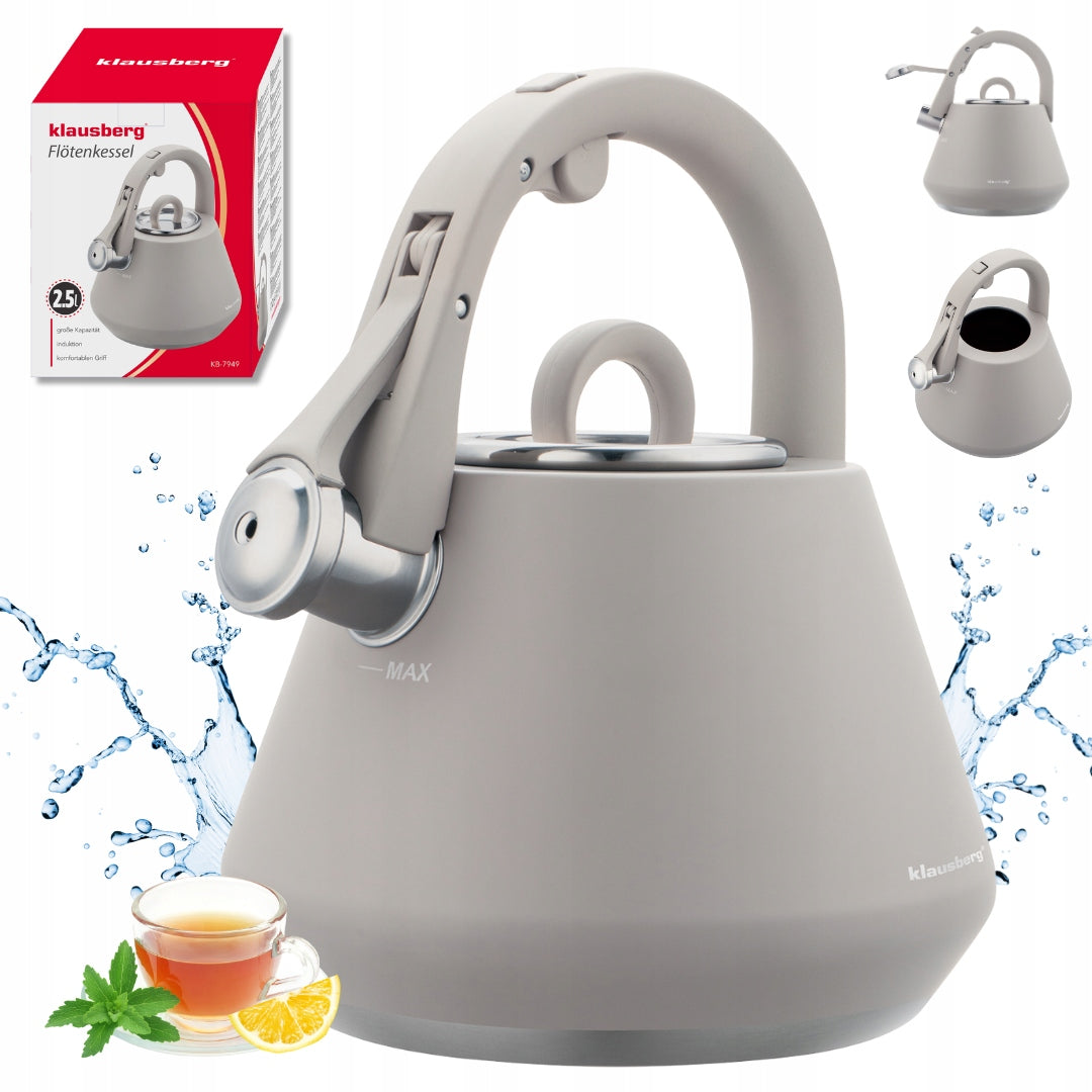Kettle with whistle steel grey mat induction gas 2,5L