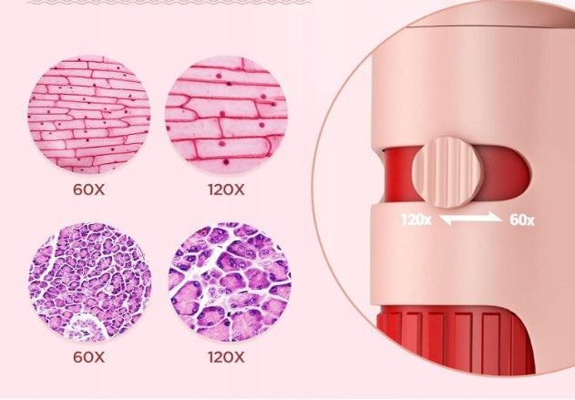 LAKWAR 60x-120x mini pocket microscope for adult children, portable Manufacturer code mini mikroskop kieszonkowy