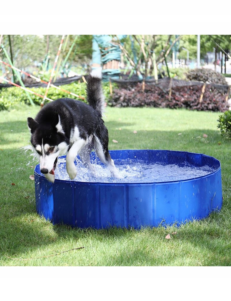 LARGE ANIMAL DOG POOL CHILDREN GARDEN 160cm XXXL FOLDING STRONG Brand no brand