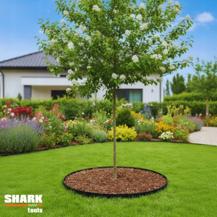 LAWN GARDEN EDGING 40m x 6cm (2x20m) + BLACK PALISADA SHARK ANCHORS Packaging status original