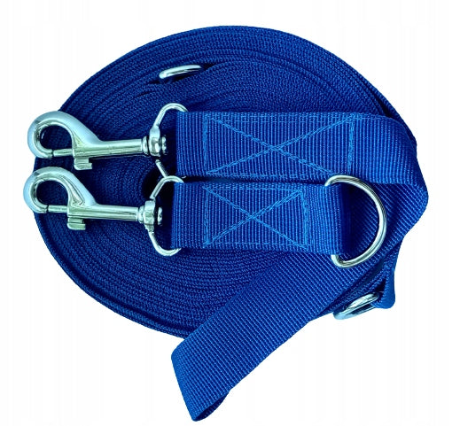 LEASH ADJUSTABLE FOR MEDIUM DOG STRONG CARABINERS TAPE 10M CORNFLOWER