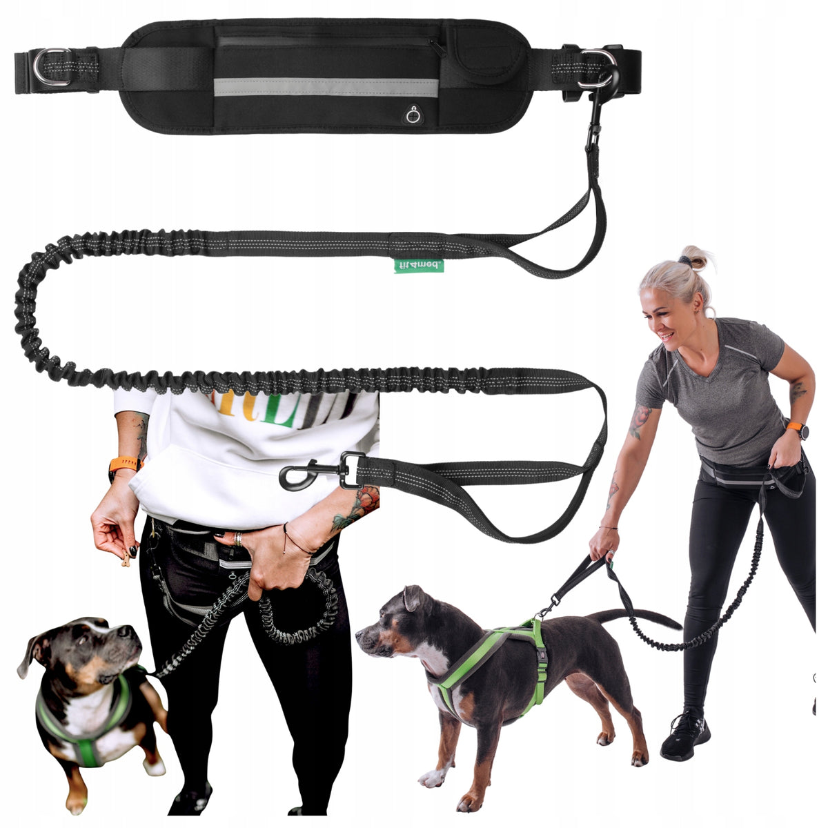 LEASH BELT SACHET FOR RUNNING WITH DOG ELASTIC WITH SHOCK ABSORBER STRONG 2M Packaging status original