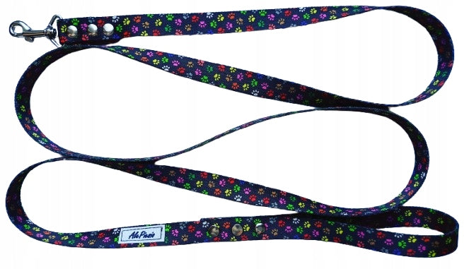 LEASH FOR SMALL DOG COLORFUL PAWS SMALL CARABINER RIVETED 1.5M THICK
