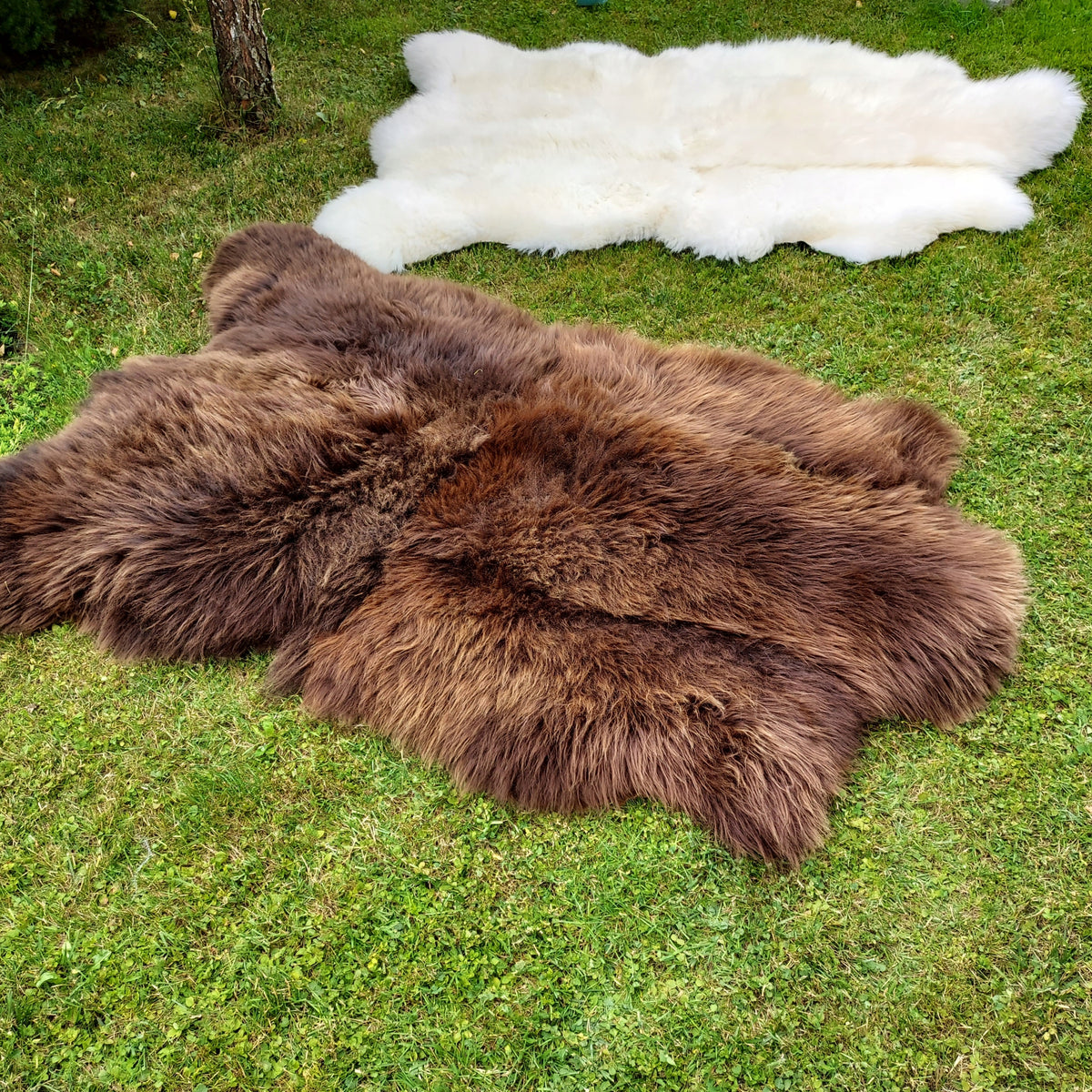 LEATHER CARPET BEAR XXL Sheepskin Natural Color multicolor