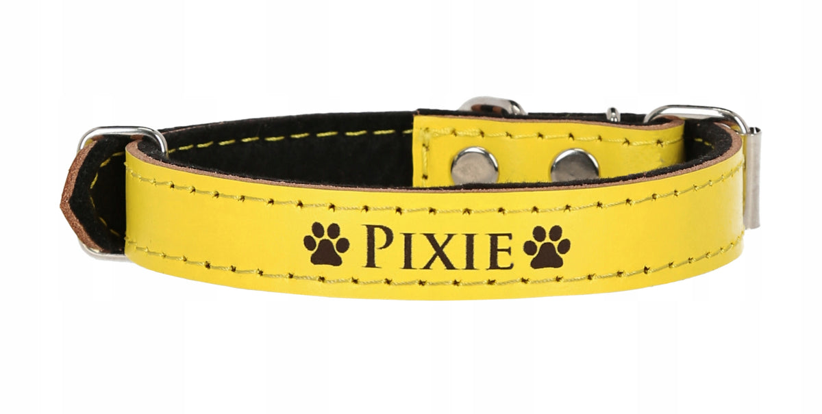 LEATHER COLLAR - 10 COLORS ENGRAVING 25-35cm EAN (GTIN) 5903672784658