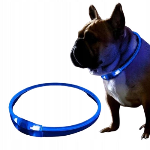 LED Dog Collar Glowing Reflective Adjustable Length Color Blue