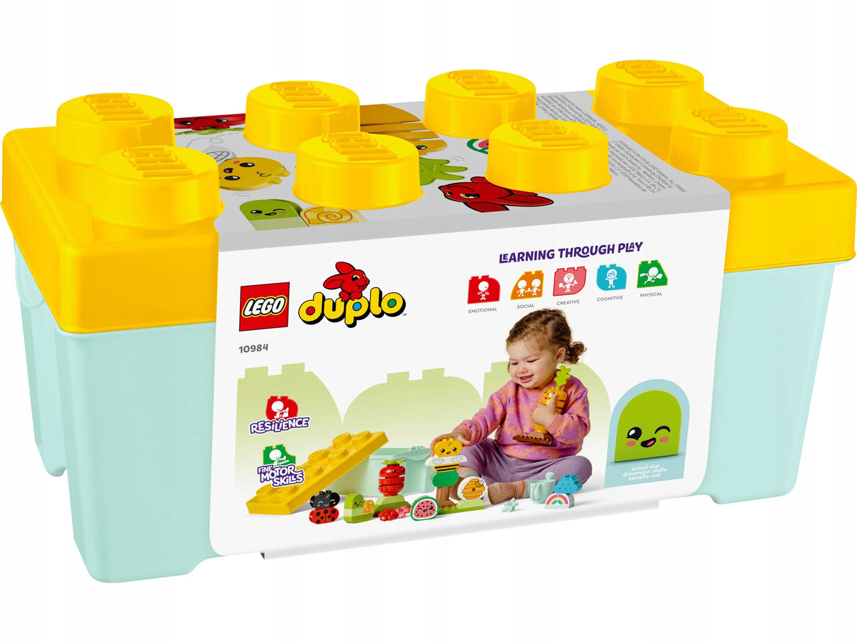 LEGO 10984 DUPLO - CULTURAL GARDEN Packaging status original