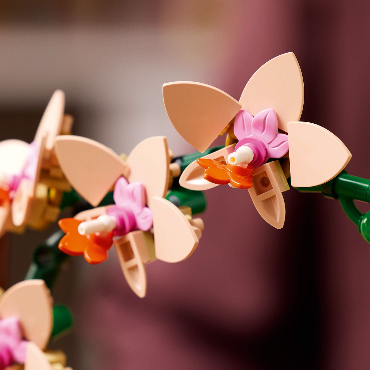 LEGO Botanicals Small orchid 10343 Brand LEGO