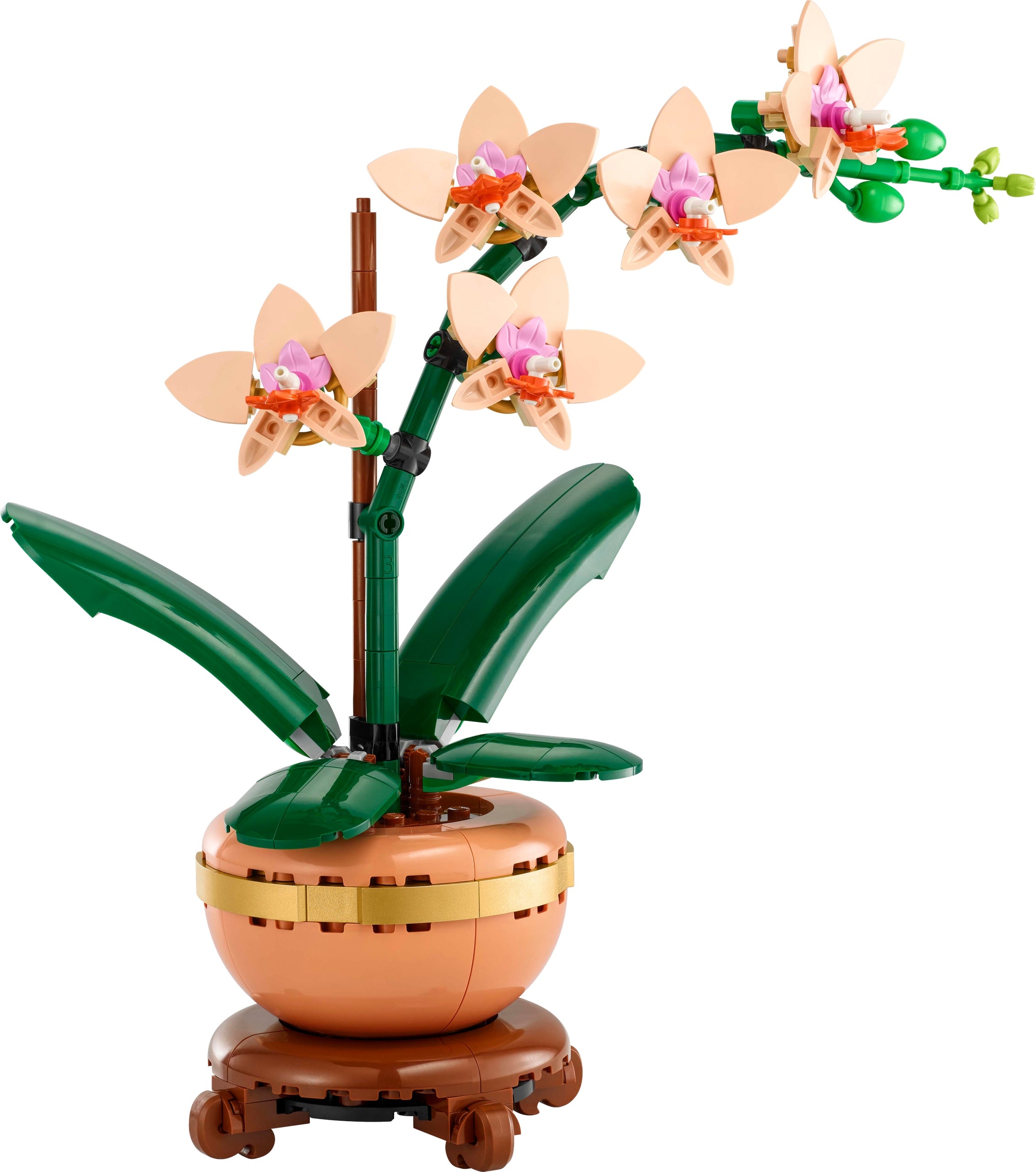 LEGO Botanicals Small orchid 10343 Product number 10343