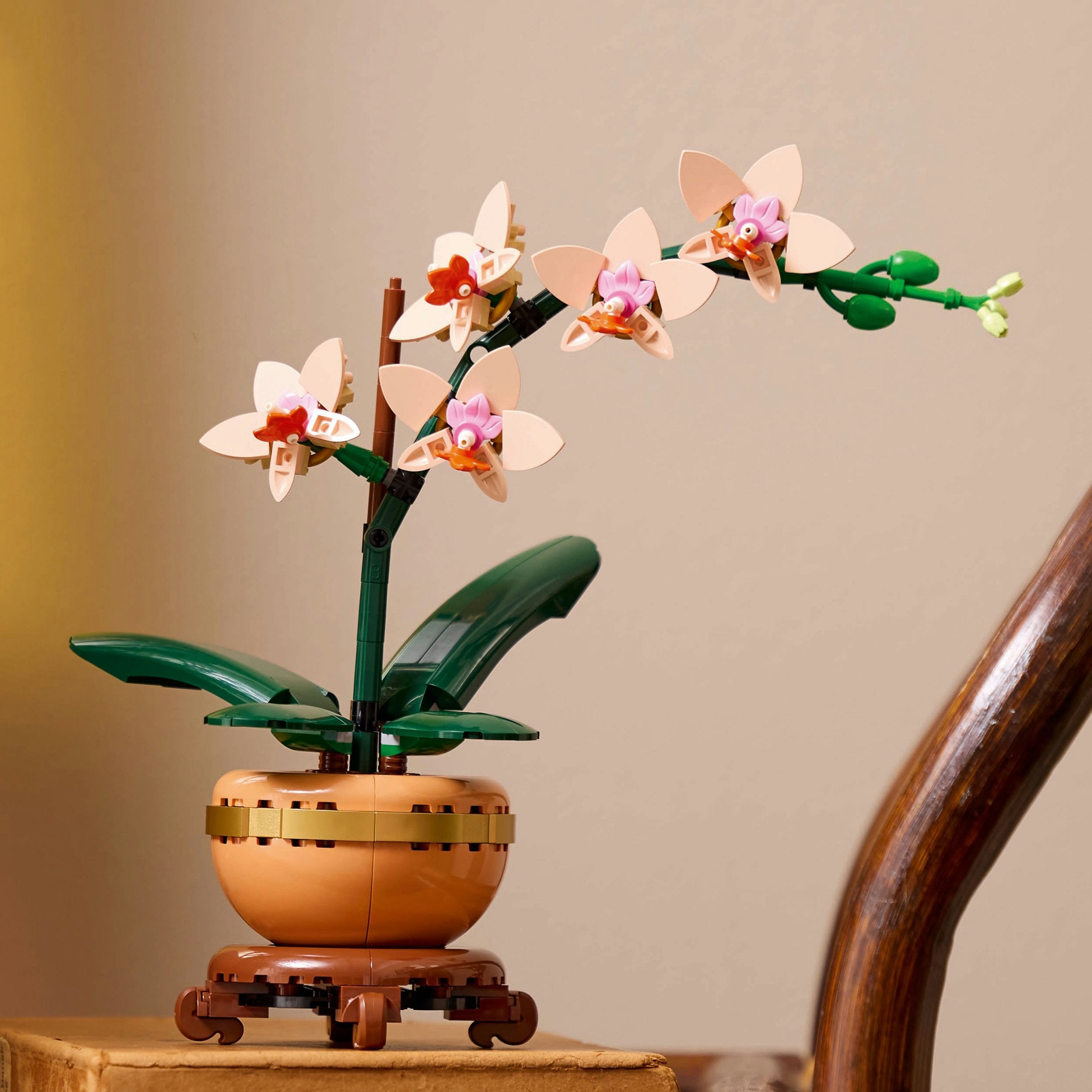 LEGO Botanicals Small orchid 10343 Set name Mała orchidea