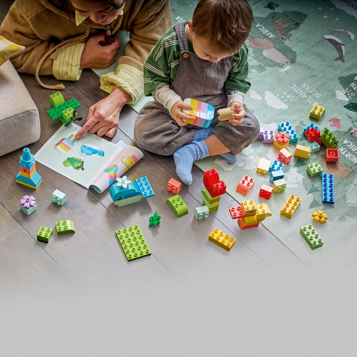 LEGO DUPLO Classic Creative box full of colours 10479 Product number 10479