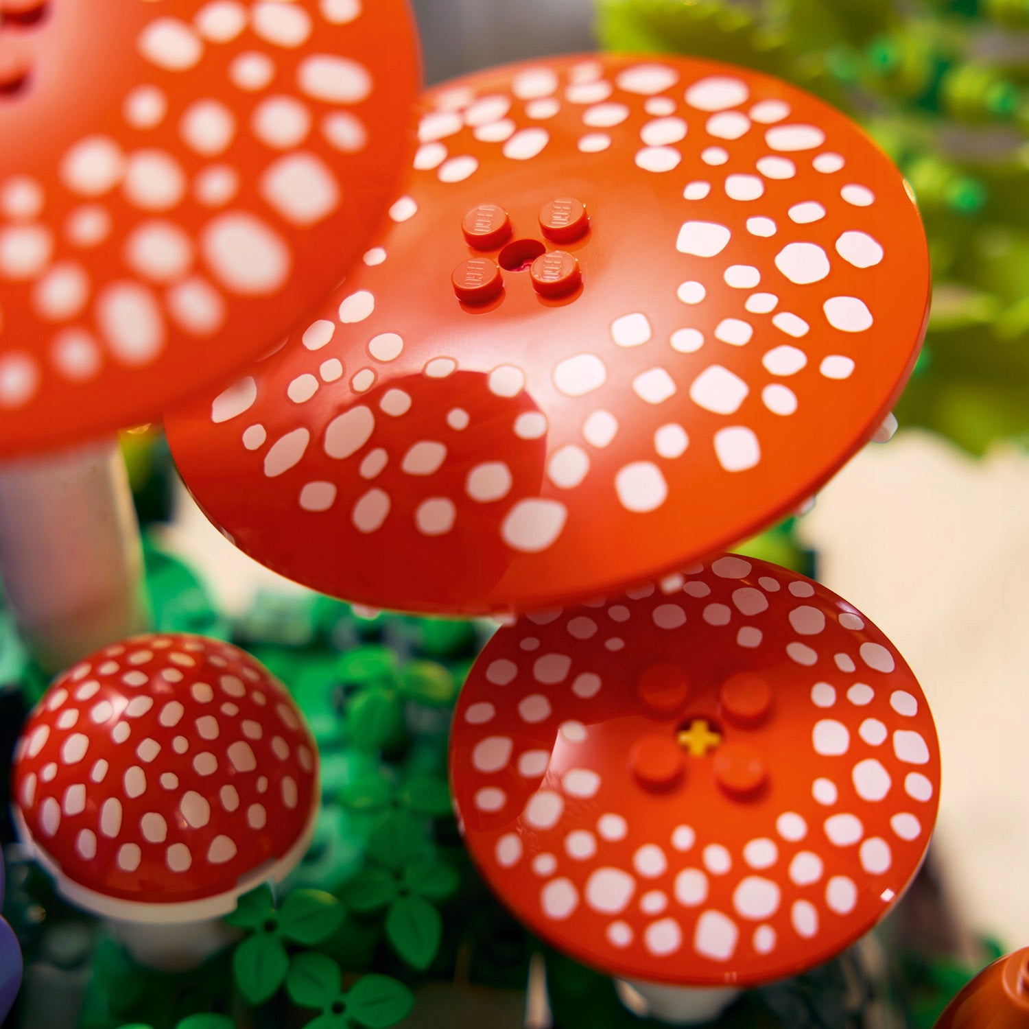 LEGO ICONS BOTANICALS Forest mushrooms 11505 Kid's age 18＋ years