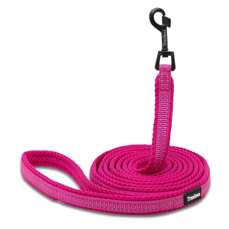 LIGHTWEIGHT dog leash REFLECTIVE ROSES Truelove 200cm S