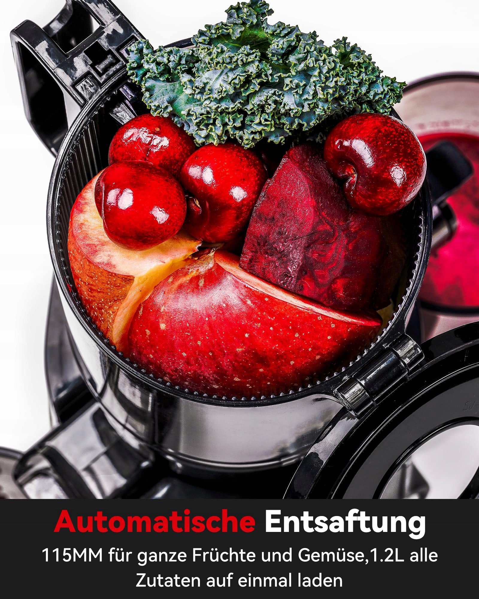 LINKCHEF Slow Juicer ,Vegetables and Fruits 200W 1.2L Brand no brand