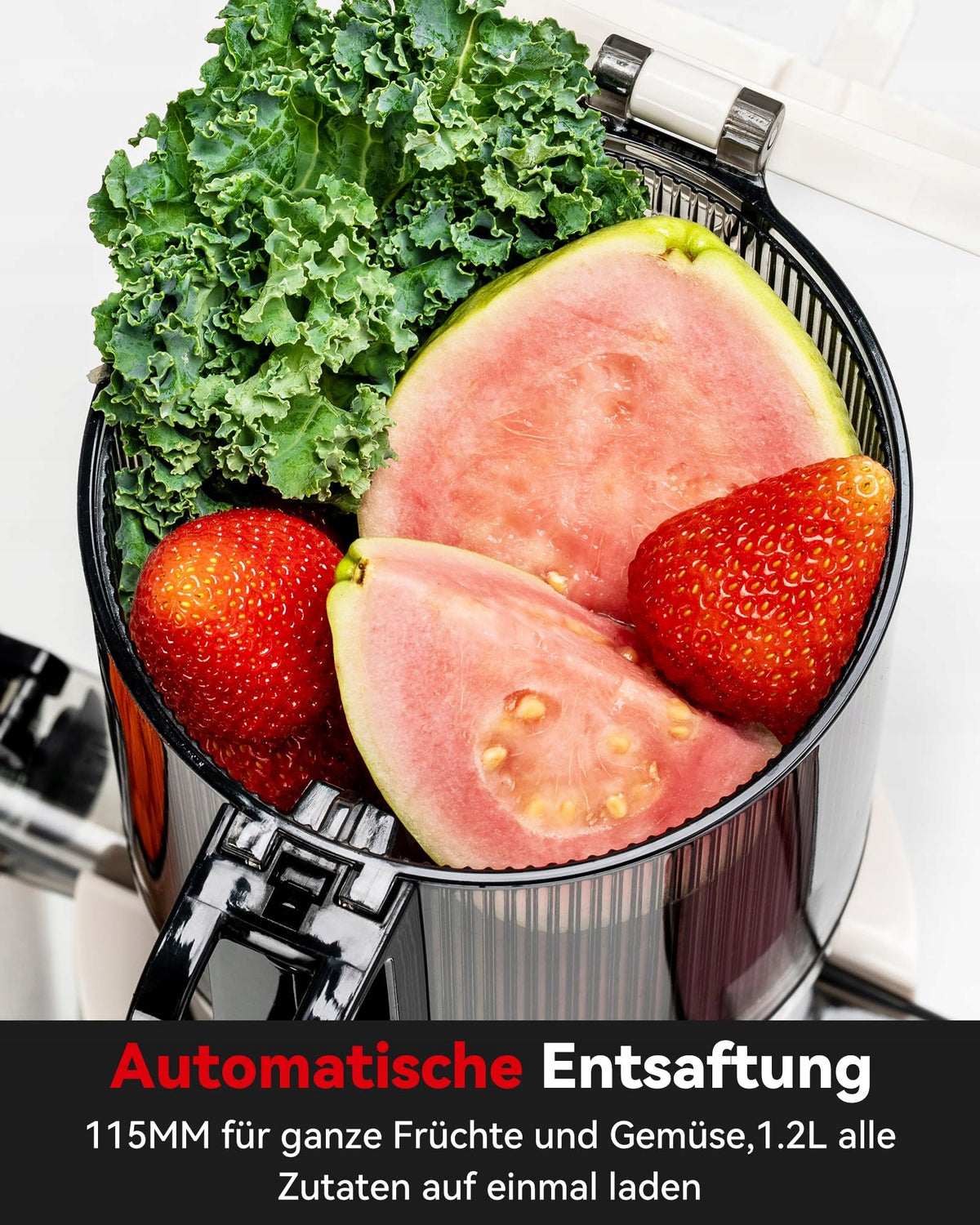 LINKCHEF Slow Rotating Fruit and Vegetable Juicer BPA Free 200W 1.2L Brand no brand