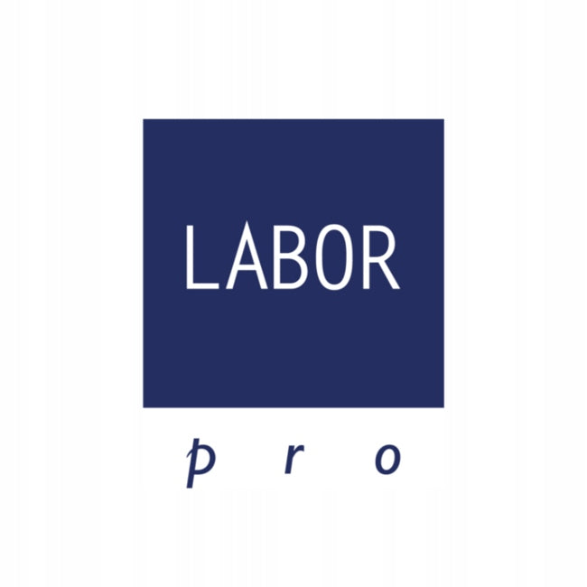 Labor Pro Plum Curl B176 Hair Curler with Adjustable Temperature 28 mm Brand Labor Pro
