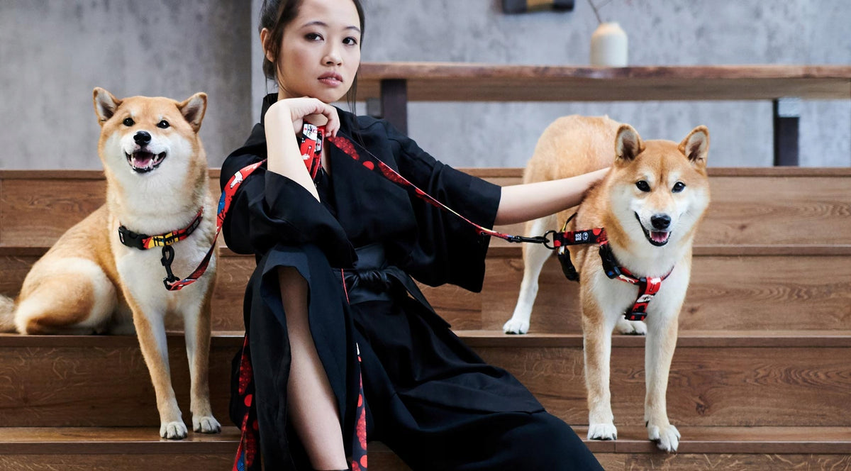 Lanyard 1,5cm John Dog Tokyo 120-240cm Brand John Dog