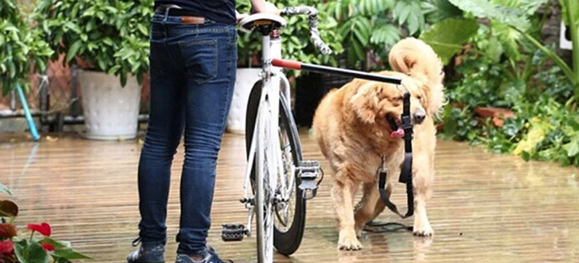 Lanyard Bar Hol Bicycle Boom For Dog Walks Bicycle Mount Strong Packaging status original