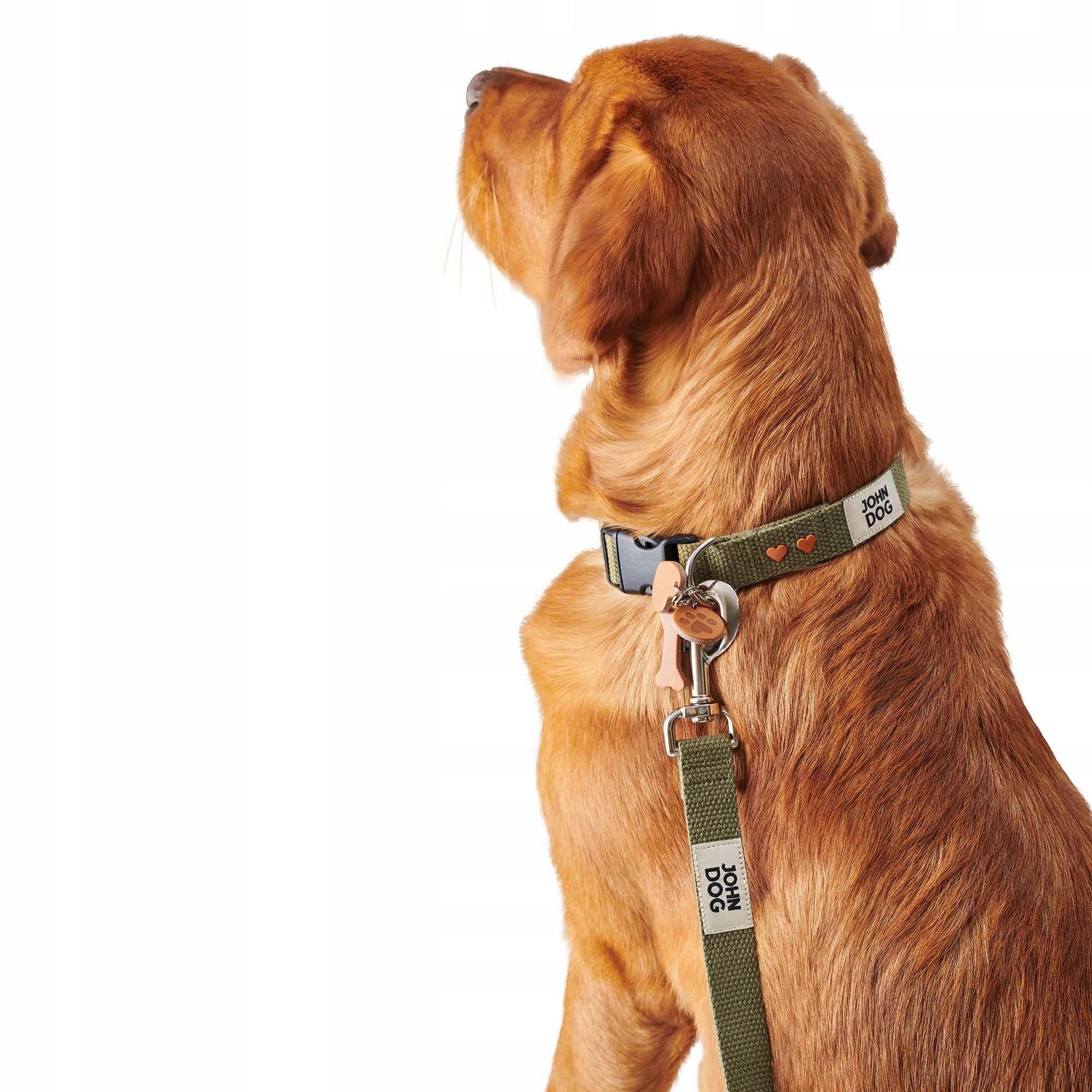 Lanyard for dog John Dog Manifest olive 2,5cm Manufacturer code AJDP220MO2524