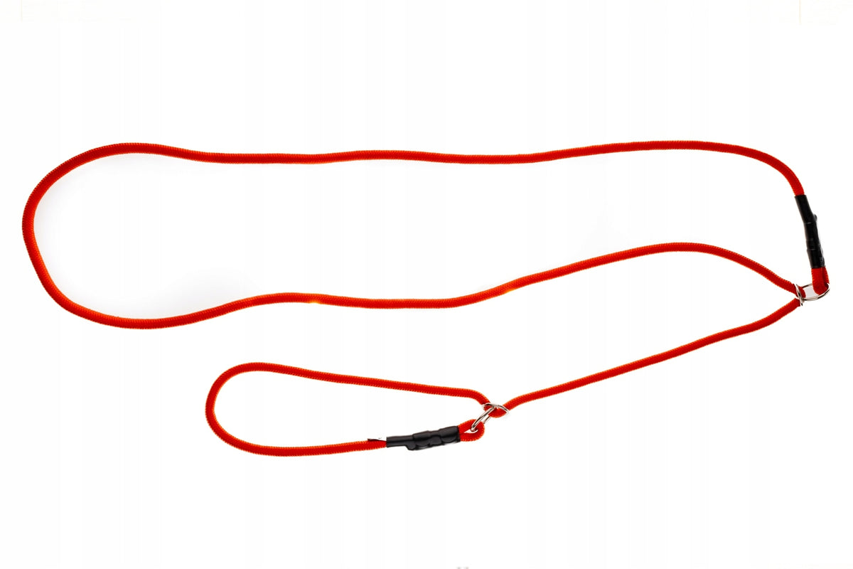 Lanyard with collar 4wild Ringless 275 cm Orange