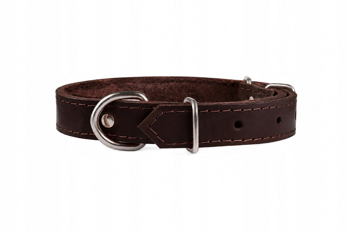 Leather collar for dog |CHABA| Brown Packaging status original