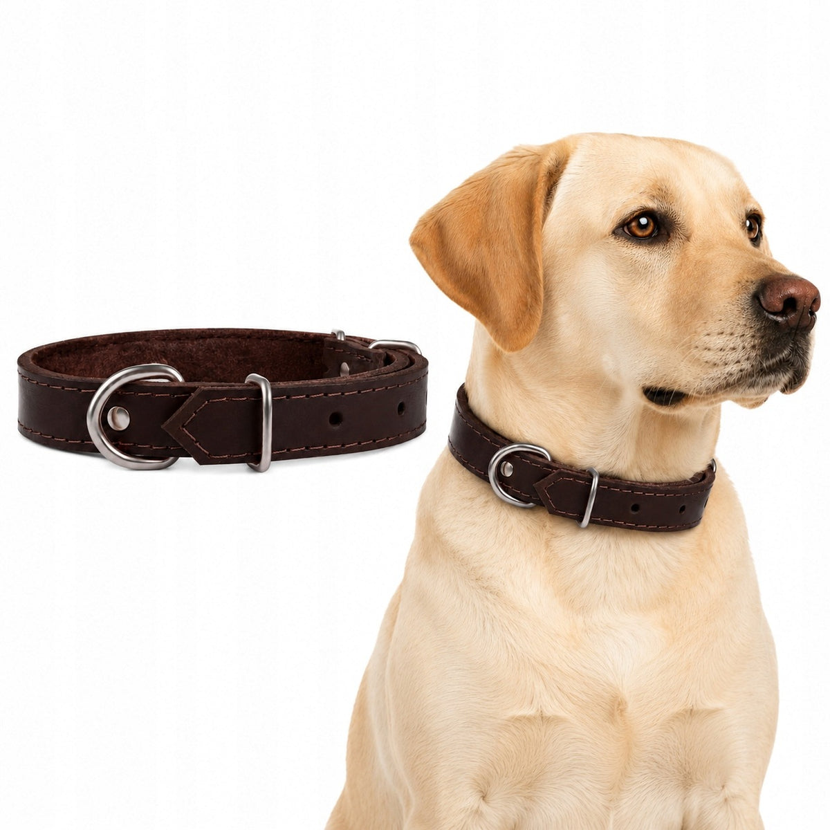 Leather collar for dog |CHABA| Brown
