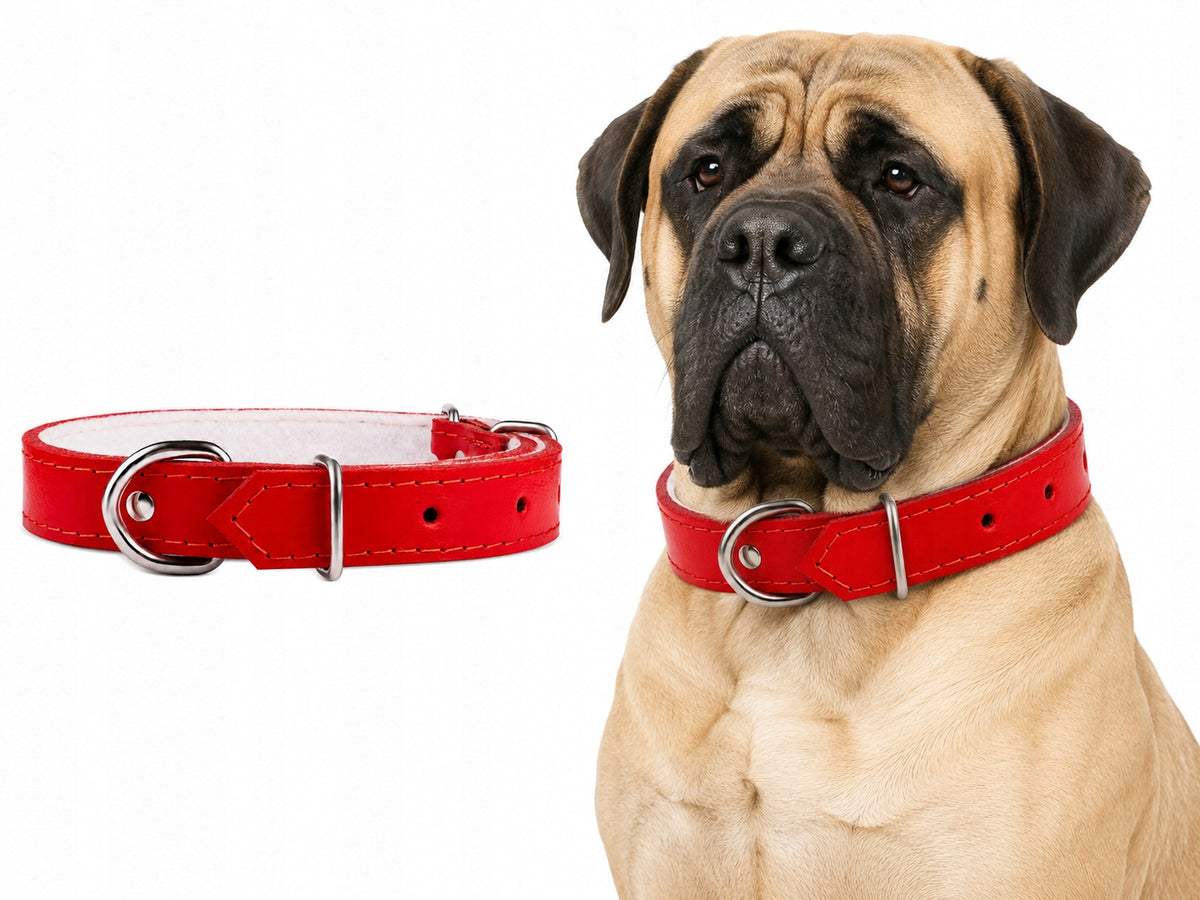 Leather collar for dog |CHABA| Red