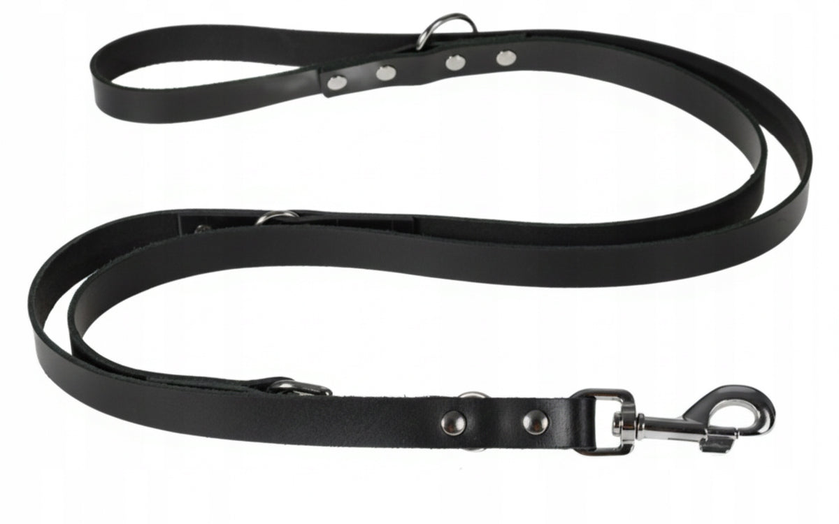 Leather leash adjustable for dog 18mm/200cm 4 colors