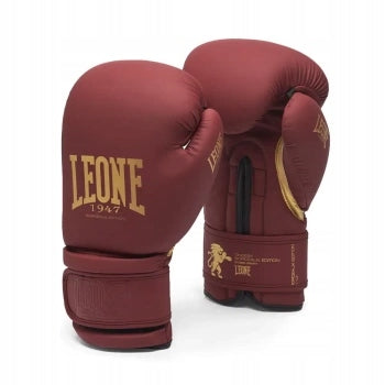 Leone boxing gloves Bordeaux