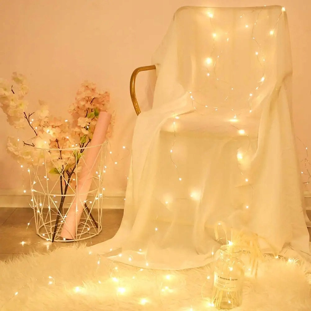 Light Curtain 200 LED 3x2m Garland Wire Lights White Warm Remote Control Brand Savineo