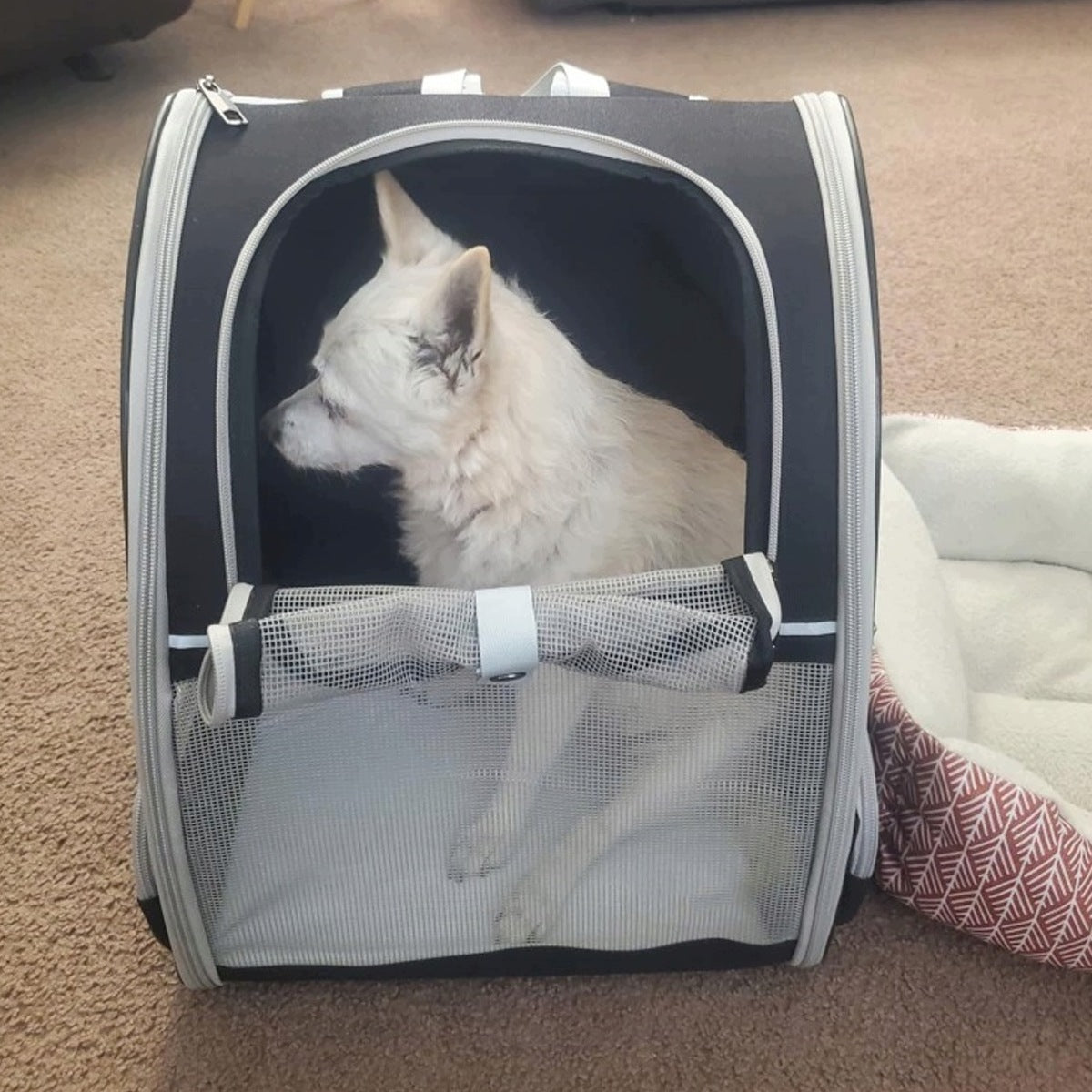 Lightweight backpack for dogs, cat carrier for small and medium-sized up to 9 kg Manufacturer code 6974437463117