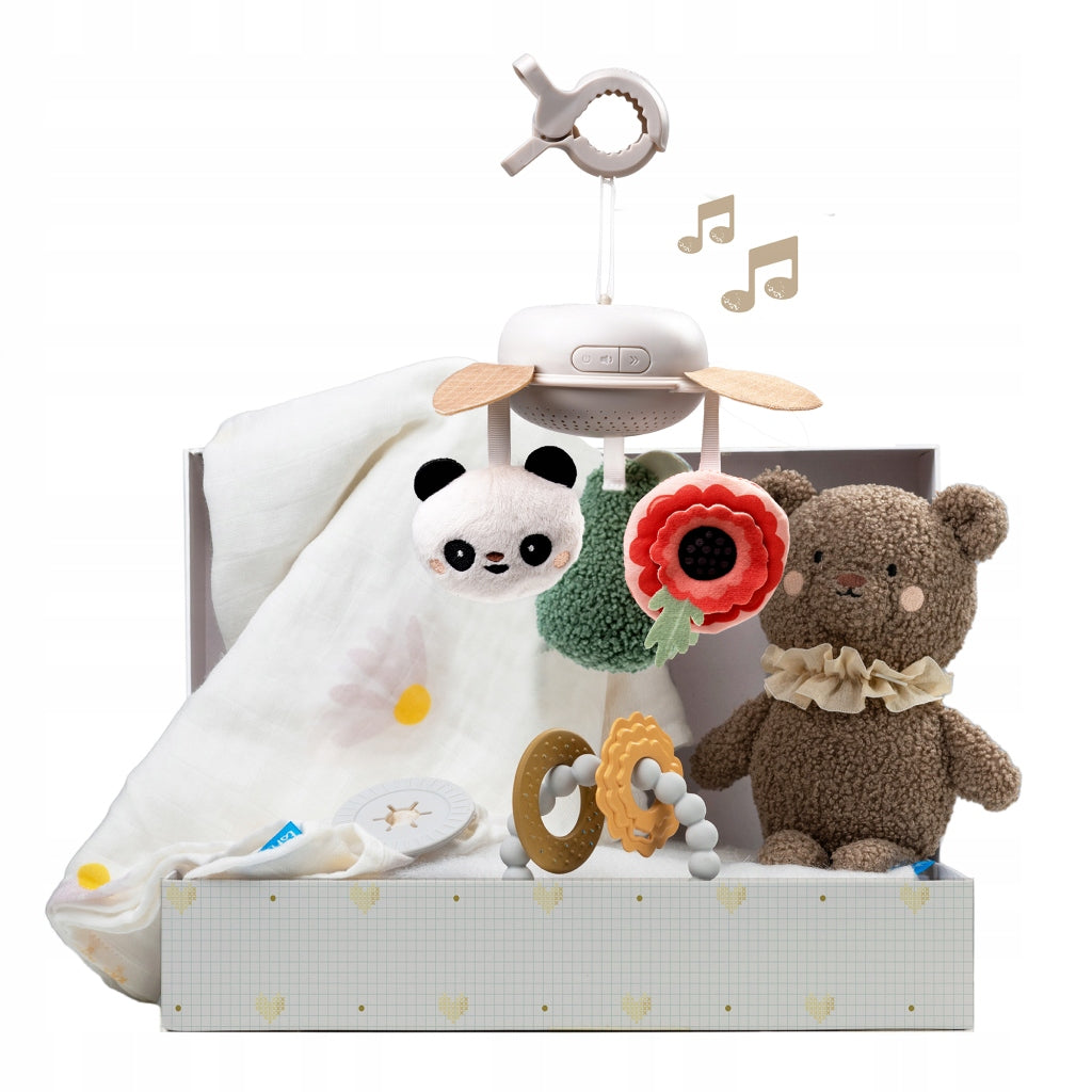 Luxury set for newborn TAF TOYS 13515 Kind other