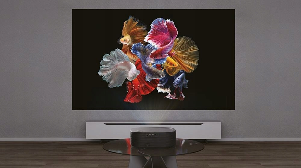 MANTA MultiVision Pro projector Model PMA502A24