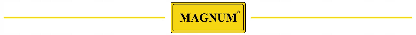 Magnum TIG AC DC THF 238 Pro X 200 A HF welder for ALUMINUM WITH IGBT PULSE Maximum electrode diameter 4 mm